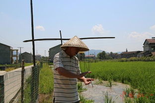 縣老科協 老驥伏櫪獻余熱