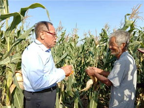 亳州譙城區(qū)紀(jì)建立 老驥伏櫪用真情傳遞溫暖